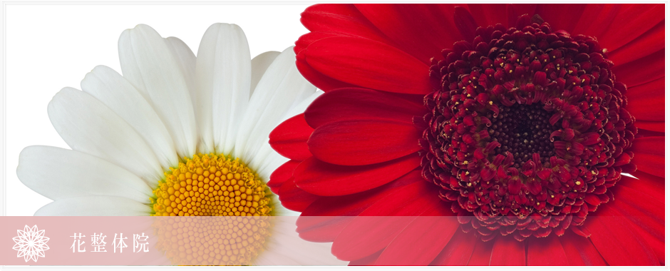 フットマッサージのイメージ